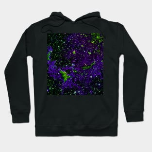 Black Panther Art - Glowing Edges 529 Hoodie